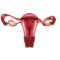 uterine-evaluation-icon